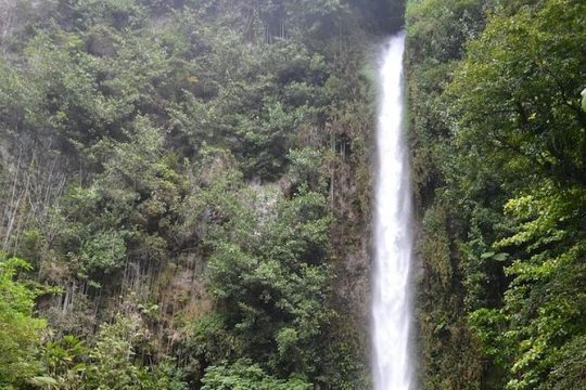 Easter in Dominica