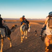 Tours & Sightseeing