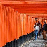 Private & Custom Tours