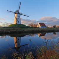 Bus & Minivan Tours