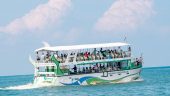 Sightseeing of Blue Whale & pilot whale