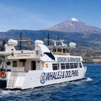 Sustainable Tours