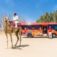 Day Trips & Excursions