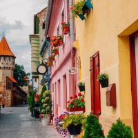 Luxury Tours