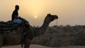 Desert Jeep Safari and Camel Ride.