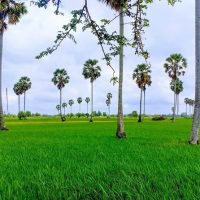 Audio Guided Tours