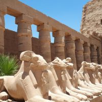 Luxury Tours
