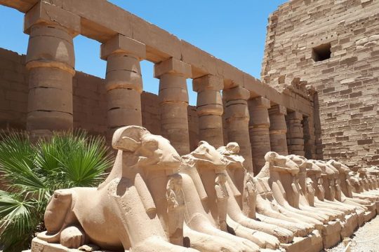Hanukkah in Egypt