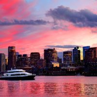 Day Cruises