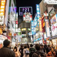 Kid Friendly Tours & Activities