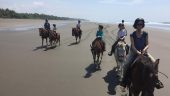 Great sunset beach family horse ride!