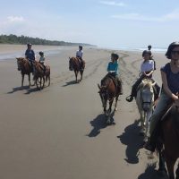 Horseback Riding