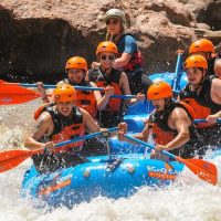 Cruises, Sailing & Water Tours