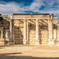 Tours & Sightseeing
