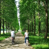 Day Trips & Excursions