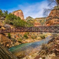 Bus & Minivan Tours