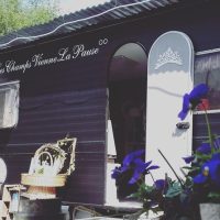 Food, Wine & Nightlife