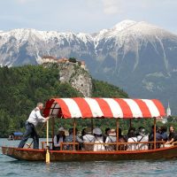 Shore Excursions