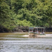 Boat Tours