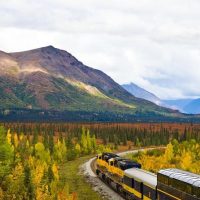 Holiday & Seasonal Tours