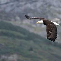 Photography Tours
