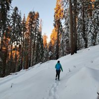Ski & Snow