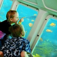 Cruises, Sailing & Water Tours