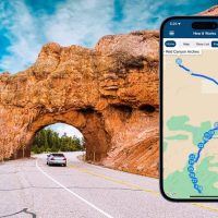Bus & Minivan Tours