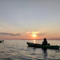 Boat Tours