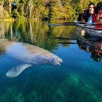 Kayaking & Canoeing