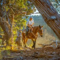 Horseback Riding