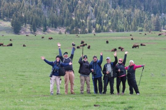 New Year’s Day long weekend in Yellowstone National Park
