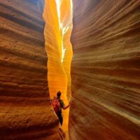Walking & Biking Tours