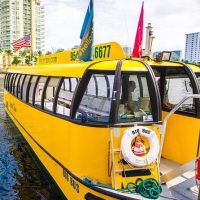 Luxury Tours