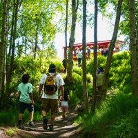 Tours & Sightseeing