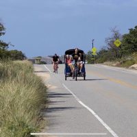 Pedicab Tours