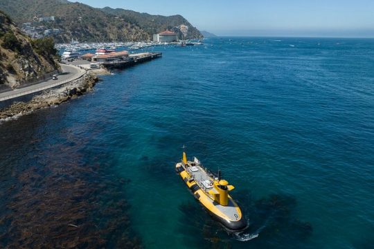 Labor Day in Catalina Island