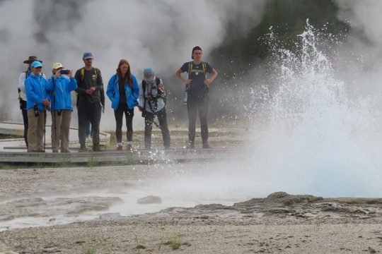 Thanksgiving in Yellowstone National Park
