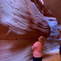 Walking Tours