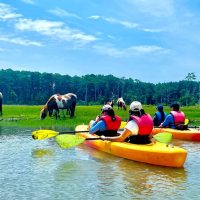 Kayaking & Canoeing