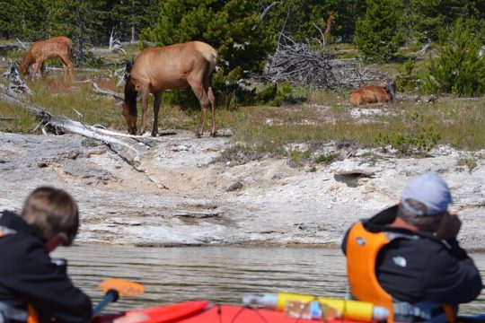 MLK Day in Yellowstone National Park