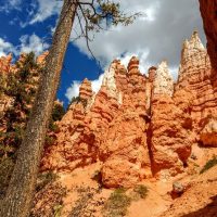 Half-day Tours