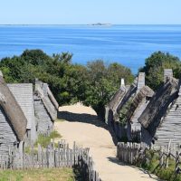 Cultural Tours