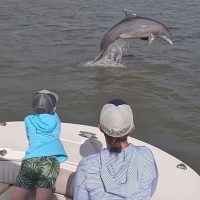 Private Sightseeing Tours