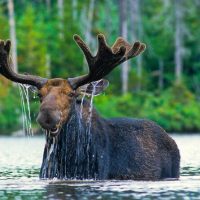 Luxury Tours