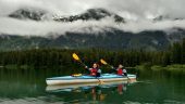 Chilkoot Lake Kayaking-Tranquility with bear/whales and seals as additional side attractions
