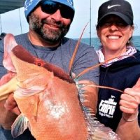 Fishing Charters & Tours