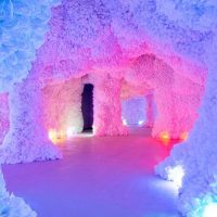 Sightseeing Tickets & Passes