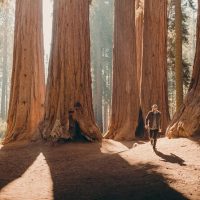 Hiking & Camping