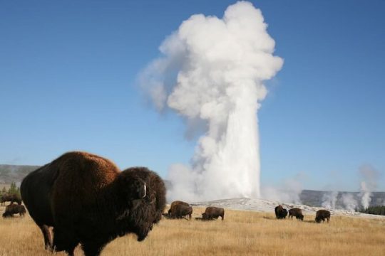 Halloween in Yellowstone National Park